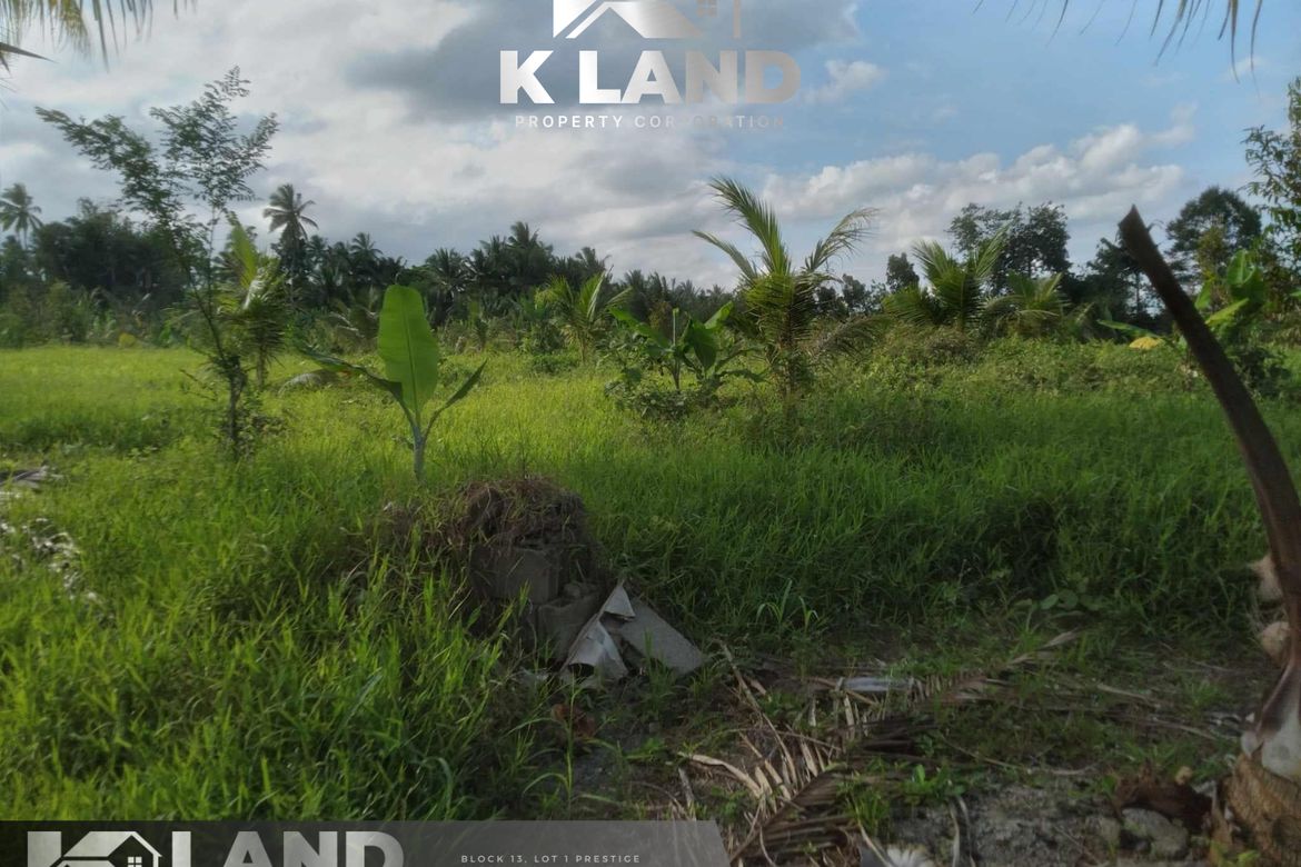 Land for Sale in Crossing Bayabas, Davao City, Davao del Sur – photo 4