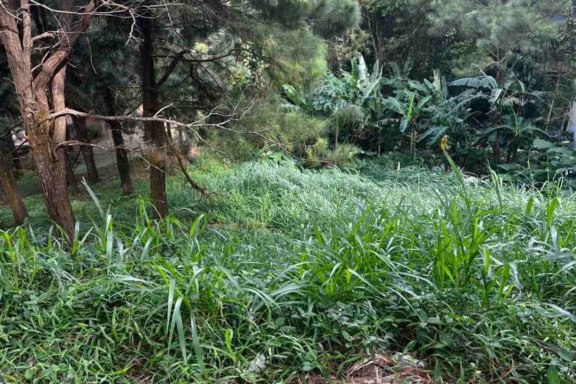 Land for Sale in Crosswinds, Iruhin West, Tagaytay, Cavite – photo 2