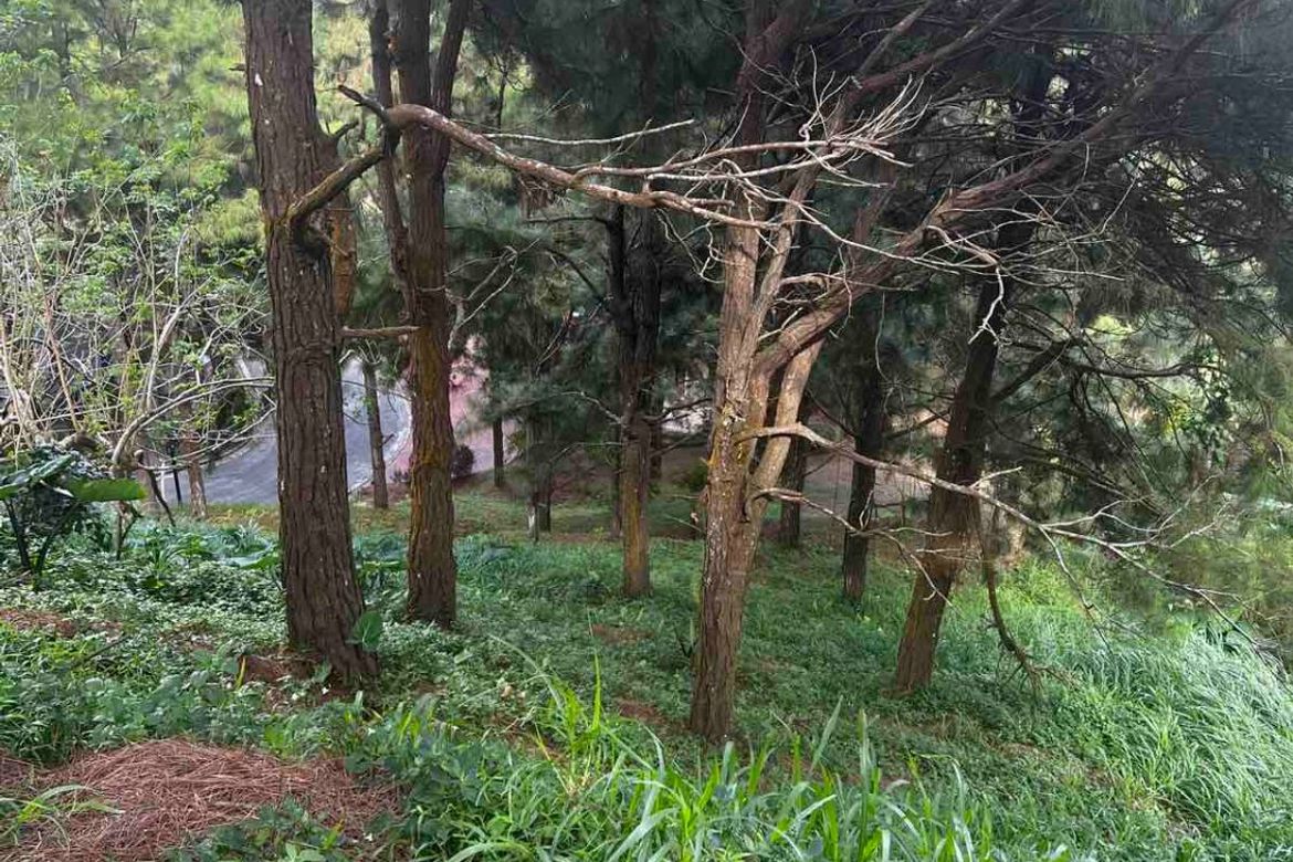 Land for Sale in Crosswinds, Iruhin West, Tagaytay, Cavite – photo 3