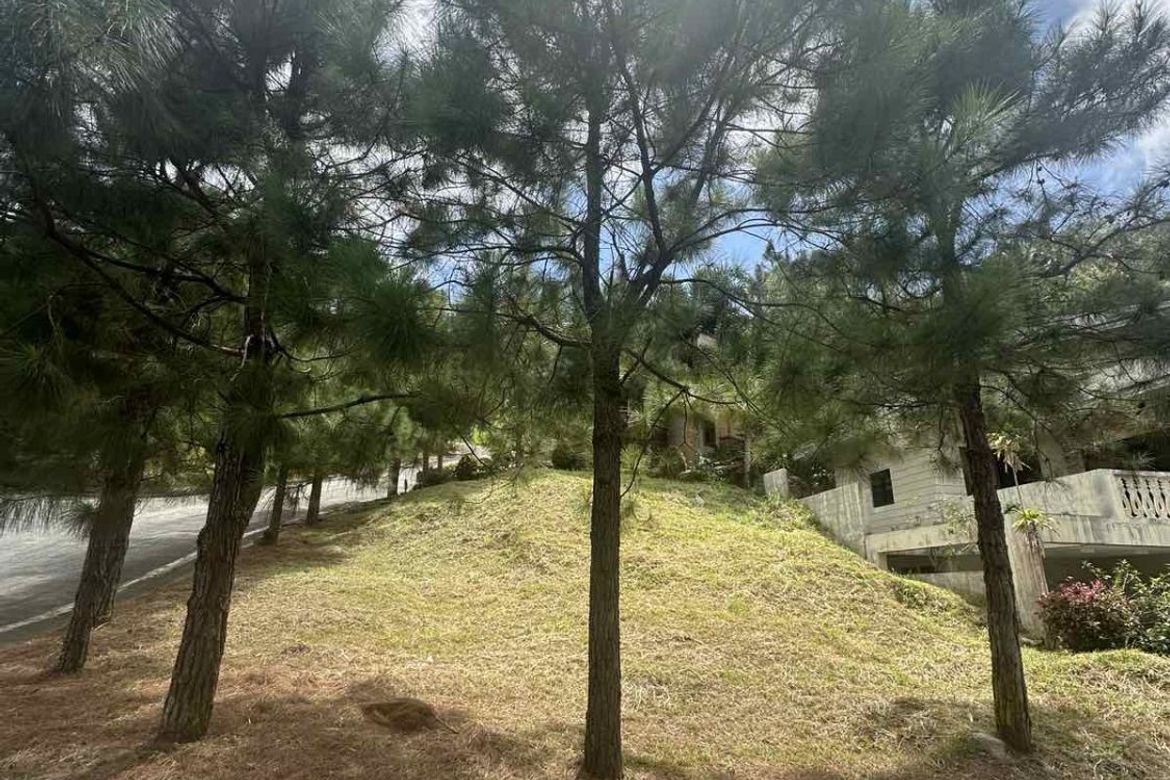Land for Sale in Crosswinds, Iruhin West, Tagaytay, Cavite – photo 3