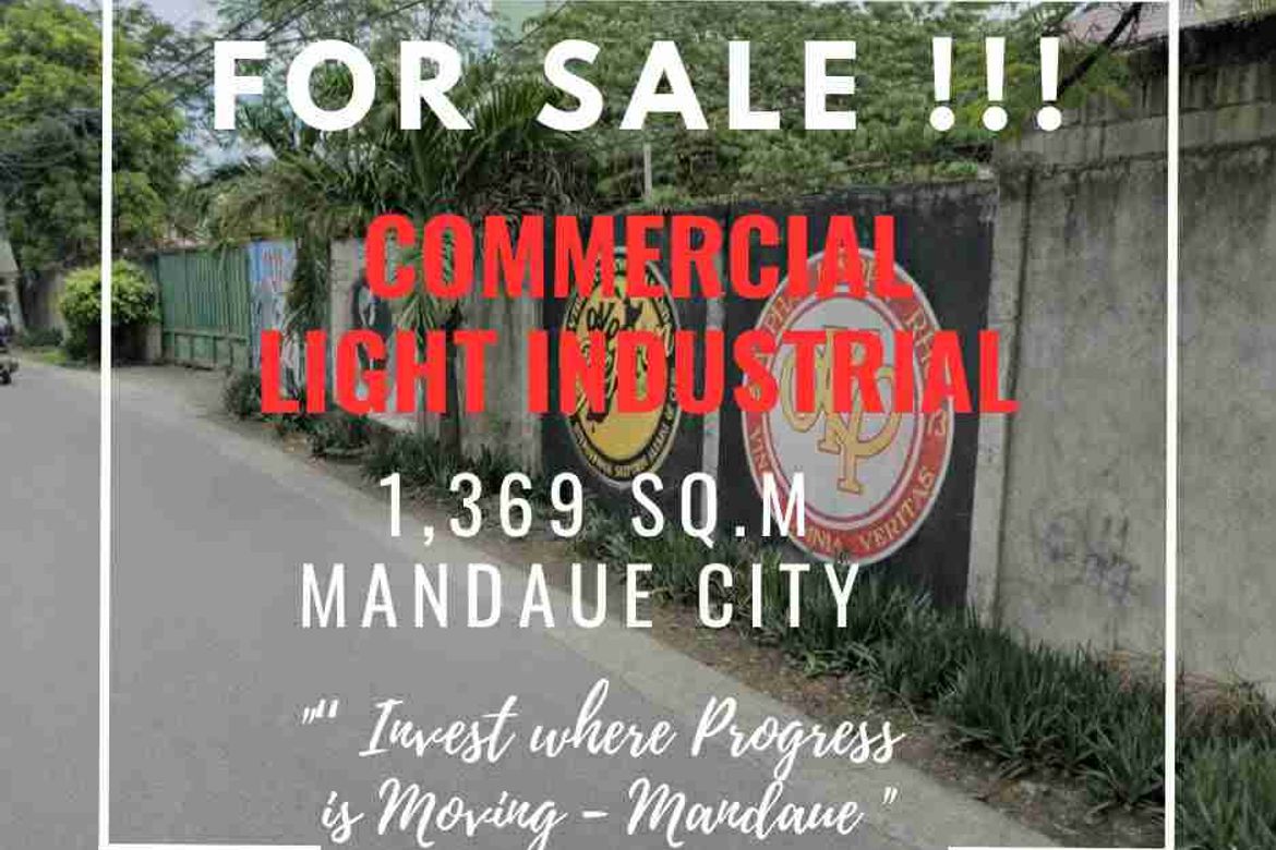 Land for Sale in Cubacub, Mandaue, Cebu
