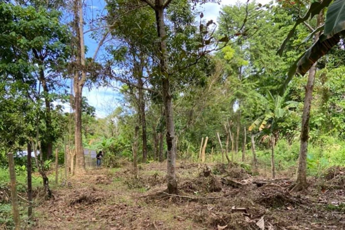Land for Sale in Cubay-Sermon, Sibalom, Antique