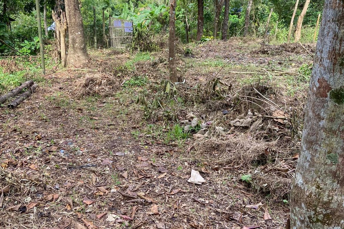 Land for Sale in Cubay-Sermon, Sibalom, Antique – photo 6
