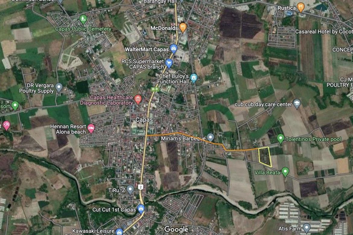 Land for Sale in Cubcub, Capas, Tarlac