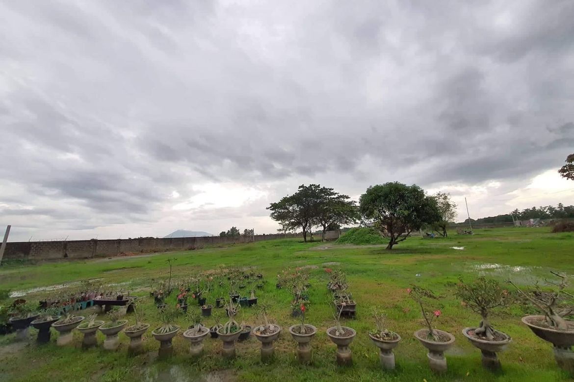 Land for Sale in Cubcub, Capas, Tarlac – photo 4