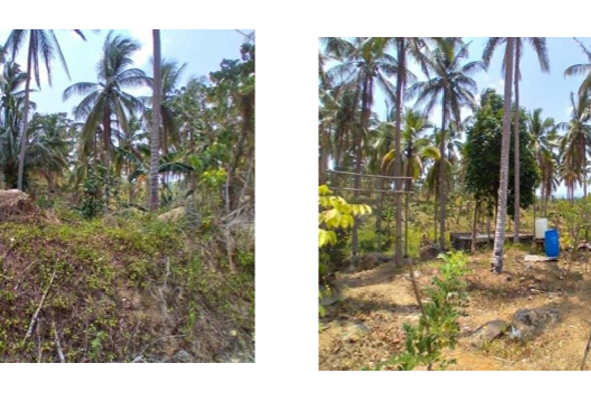 Land for Sale in Cueva, Santa Maria, Laguna – photo 3