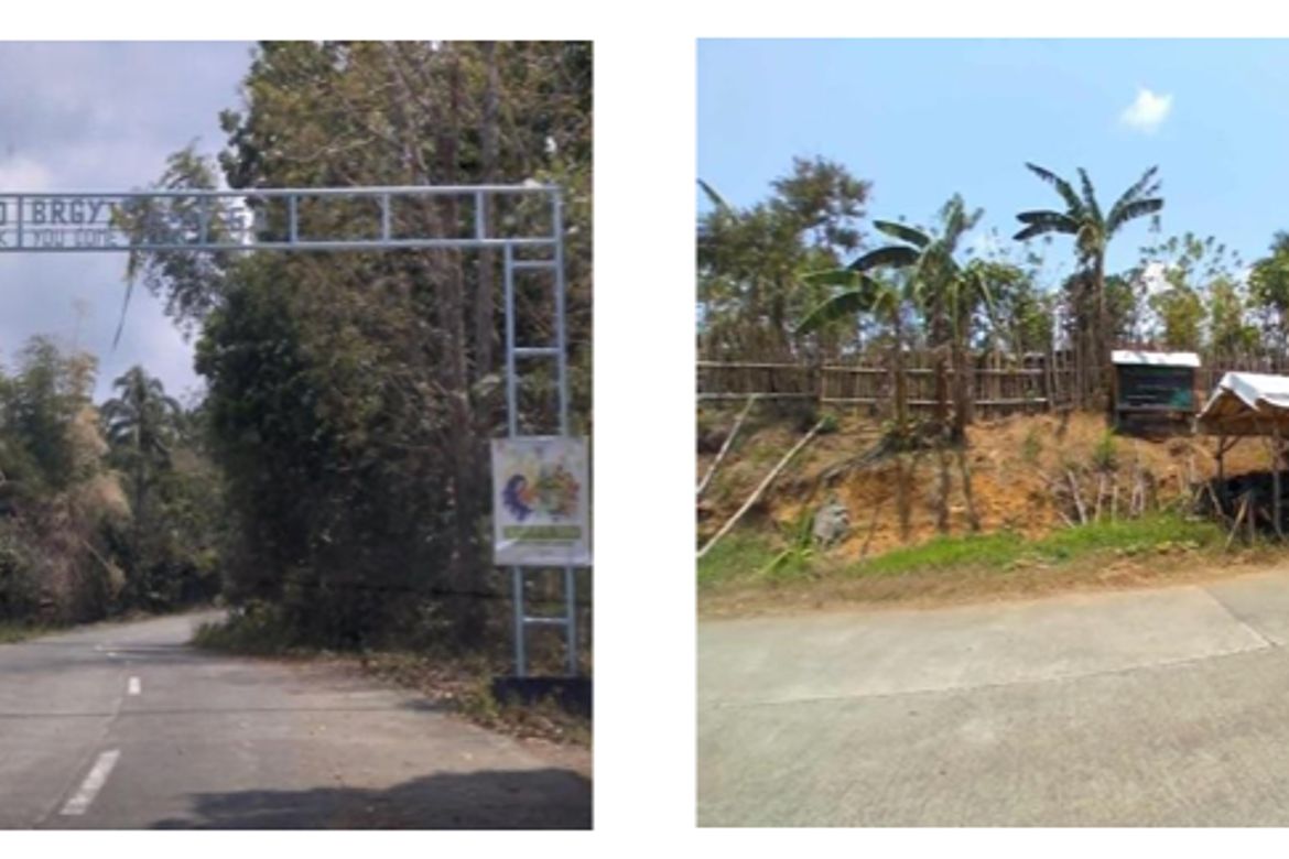 Land for Sale in Cueva, Santa Maria, Laguna – photo 4
