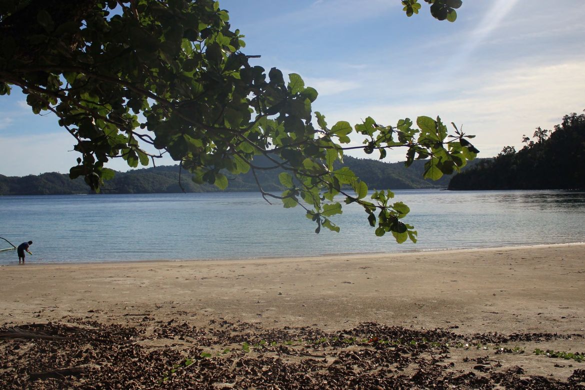 Land for Sale in Culandanum, Aborlan, Palawan