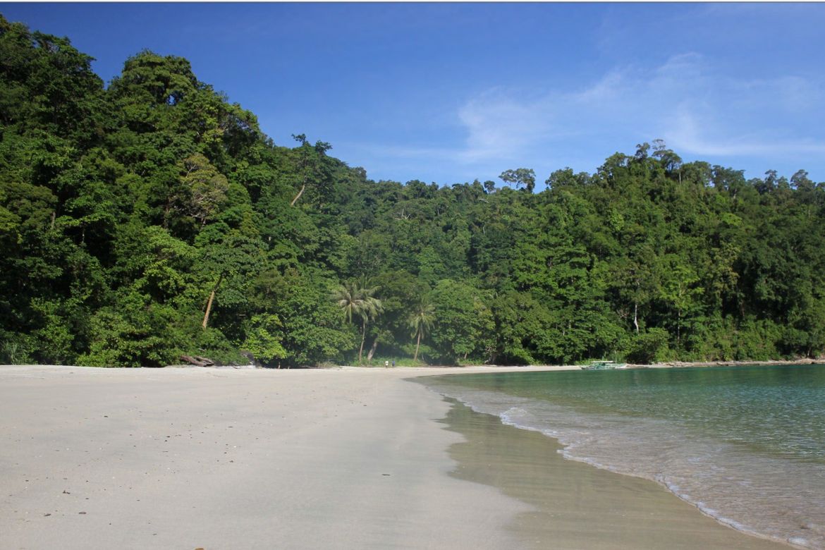 Land for Sale in Culandanum, Aborlan, Palawan – photo 2