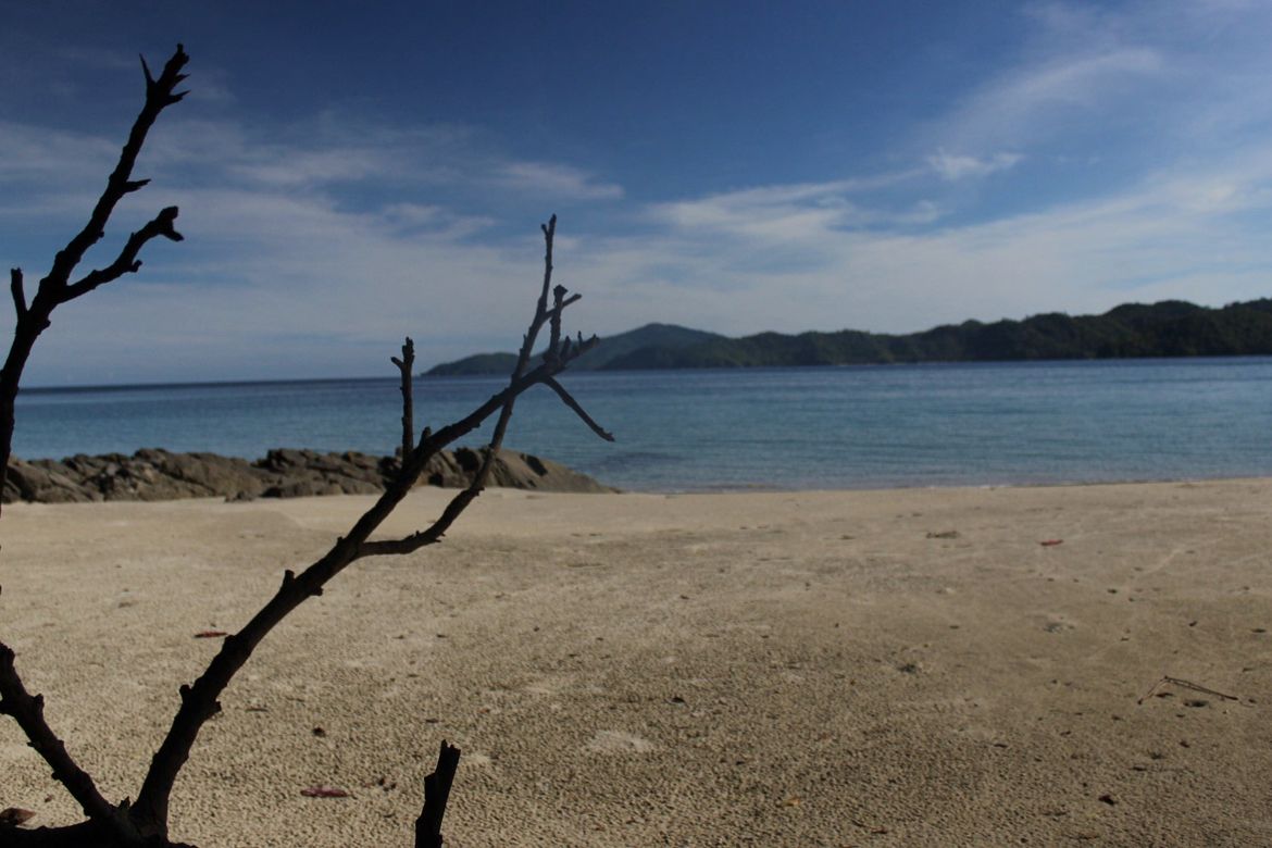 Land for Sale in Culandanum, Aborlan, Palawan – photo 3
