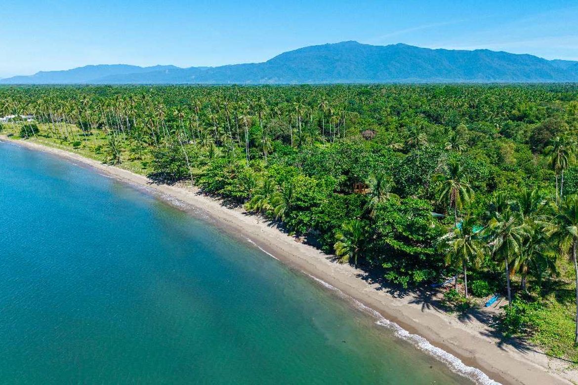 Land for Sale in Culandanum, Aborlan, Palawan