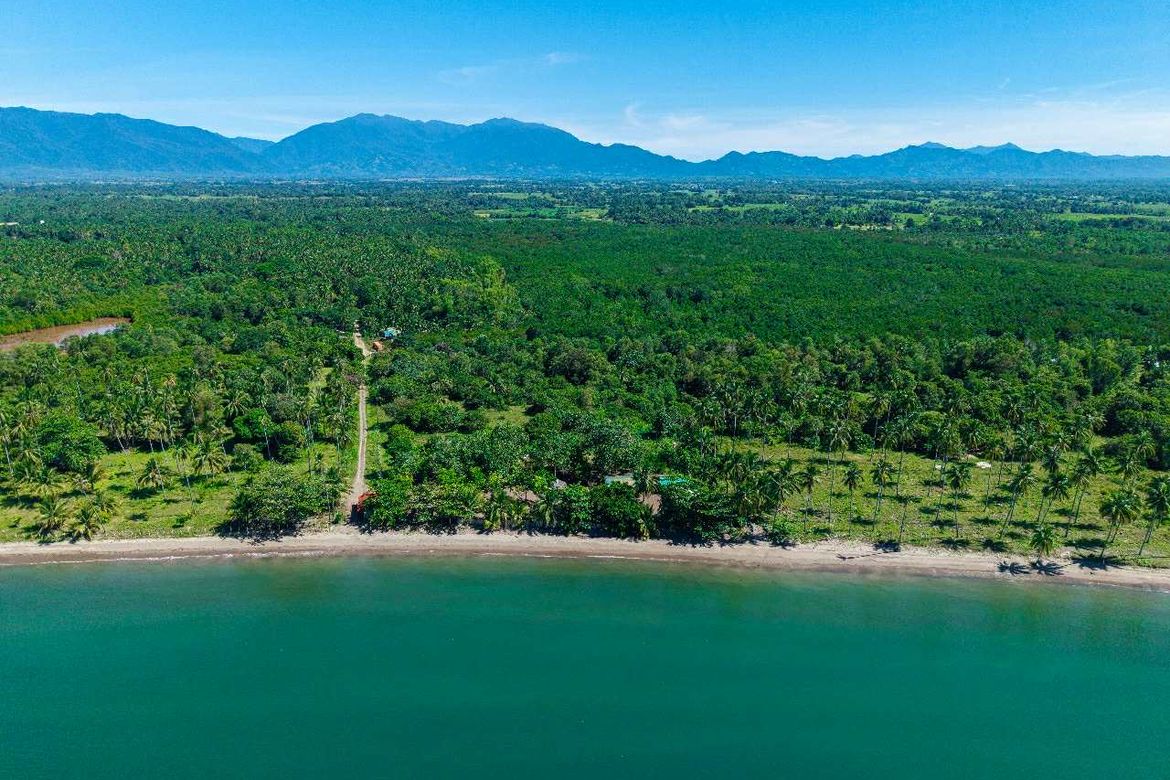 Land for Sale in Culandanum, Aborlan, Palawan – photo 8