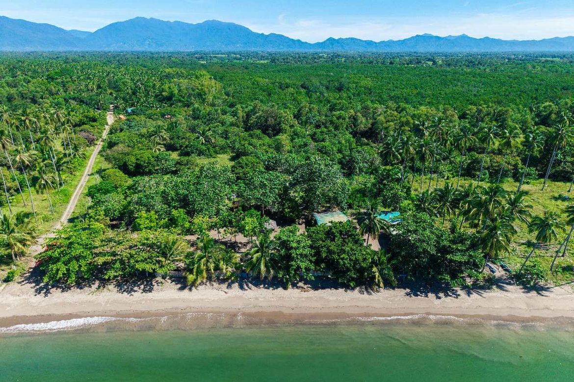 Land for Sale in Culandanum, Aborlan, Palawan – photo 5