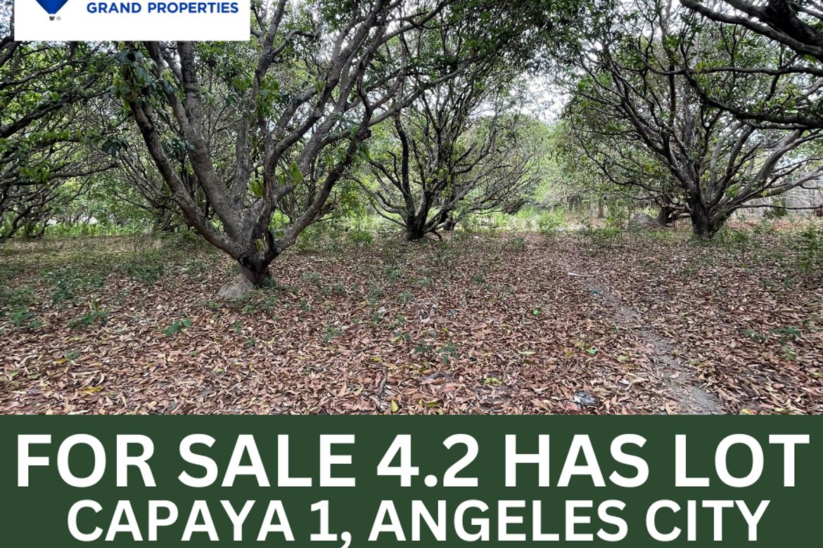 Land for Sale in Culubasa, Mexico, Pampanga – photo 4