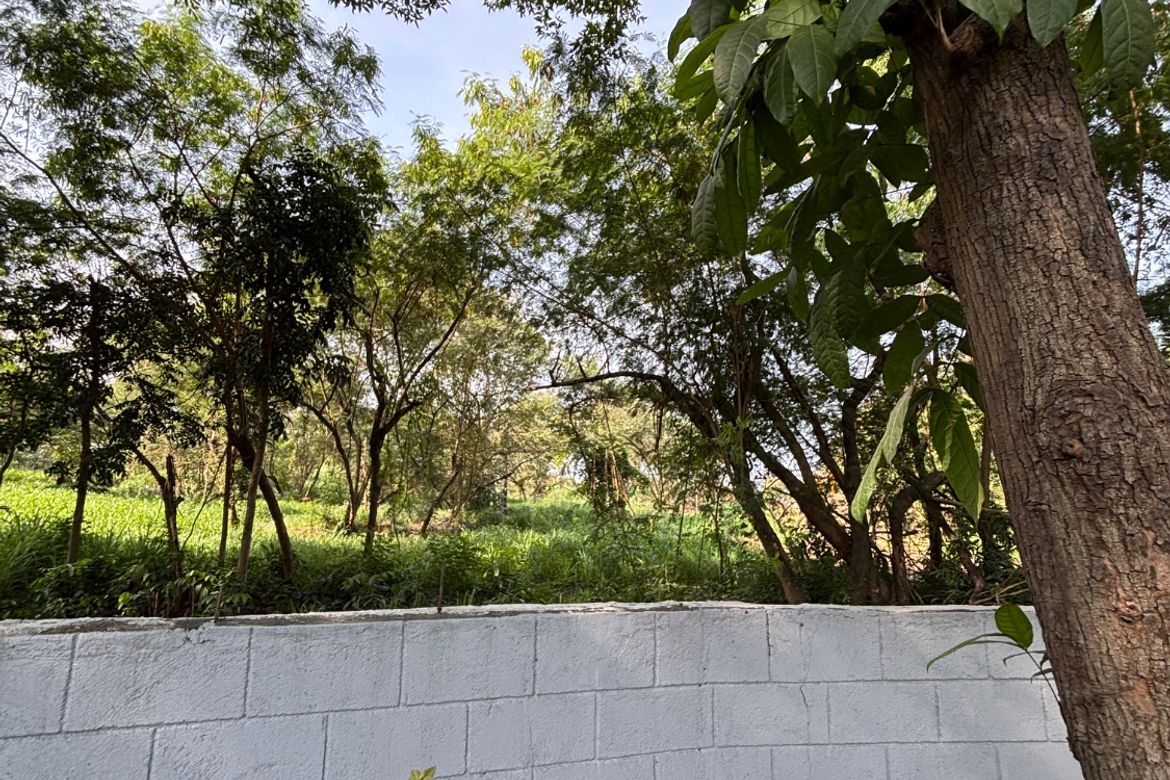 Land for Sale in Cupang, Muntinlupa, Metro Manila – photo 3