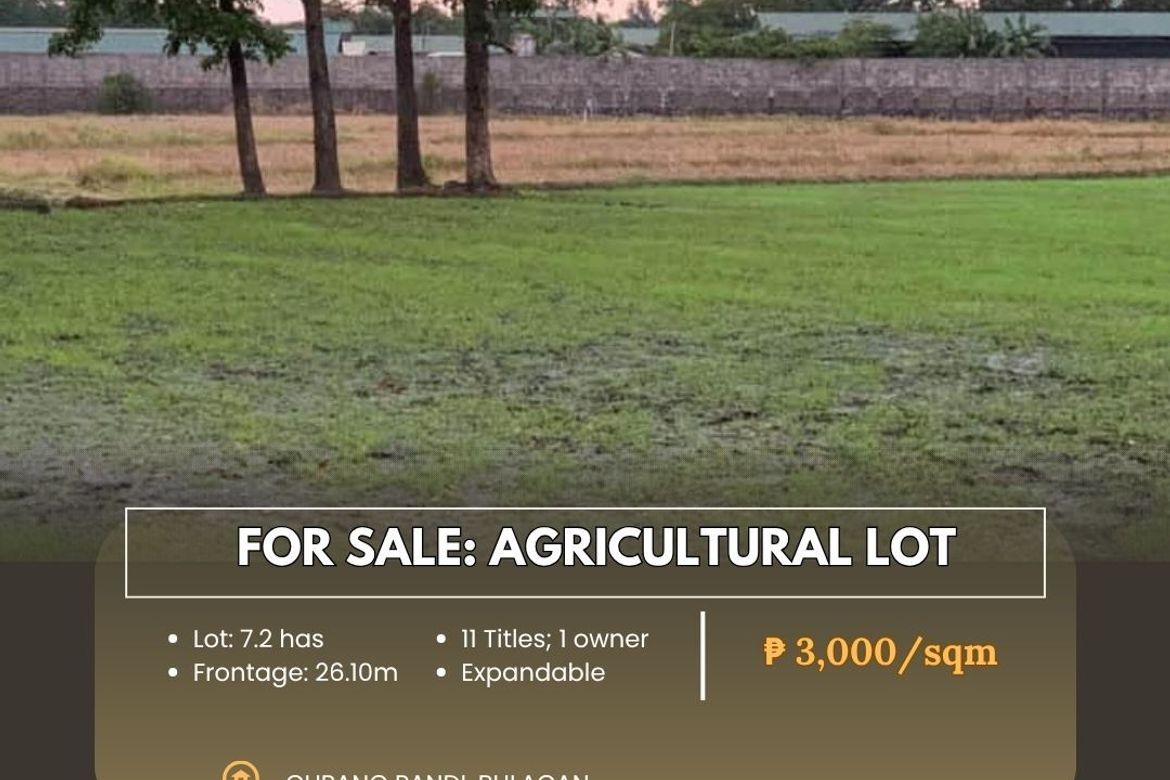 Land for Sale in Cupang, Pandi, Bulacan