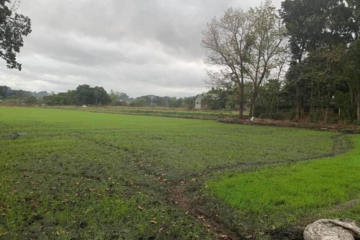 Land for Sale in Cupang, Pandi, Bulacan – photo 4