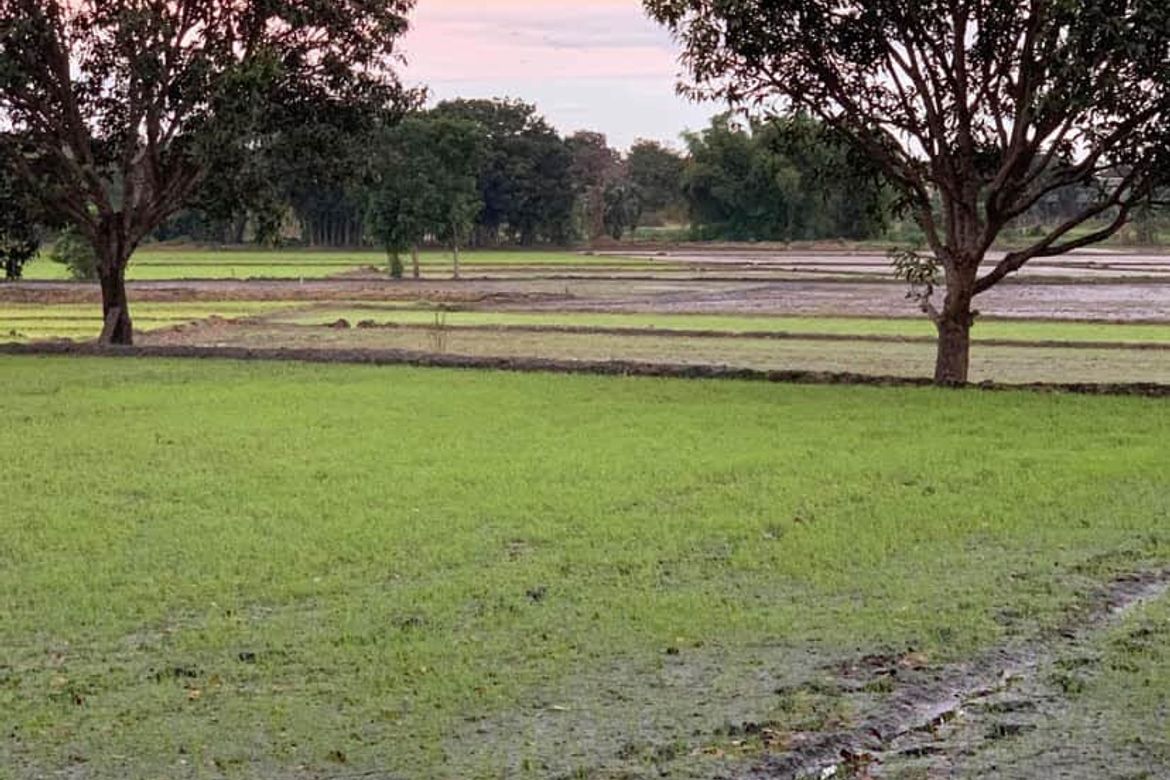 Land for Sale in Cupang, Pandi, Bulacan – photo 5