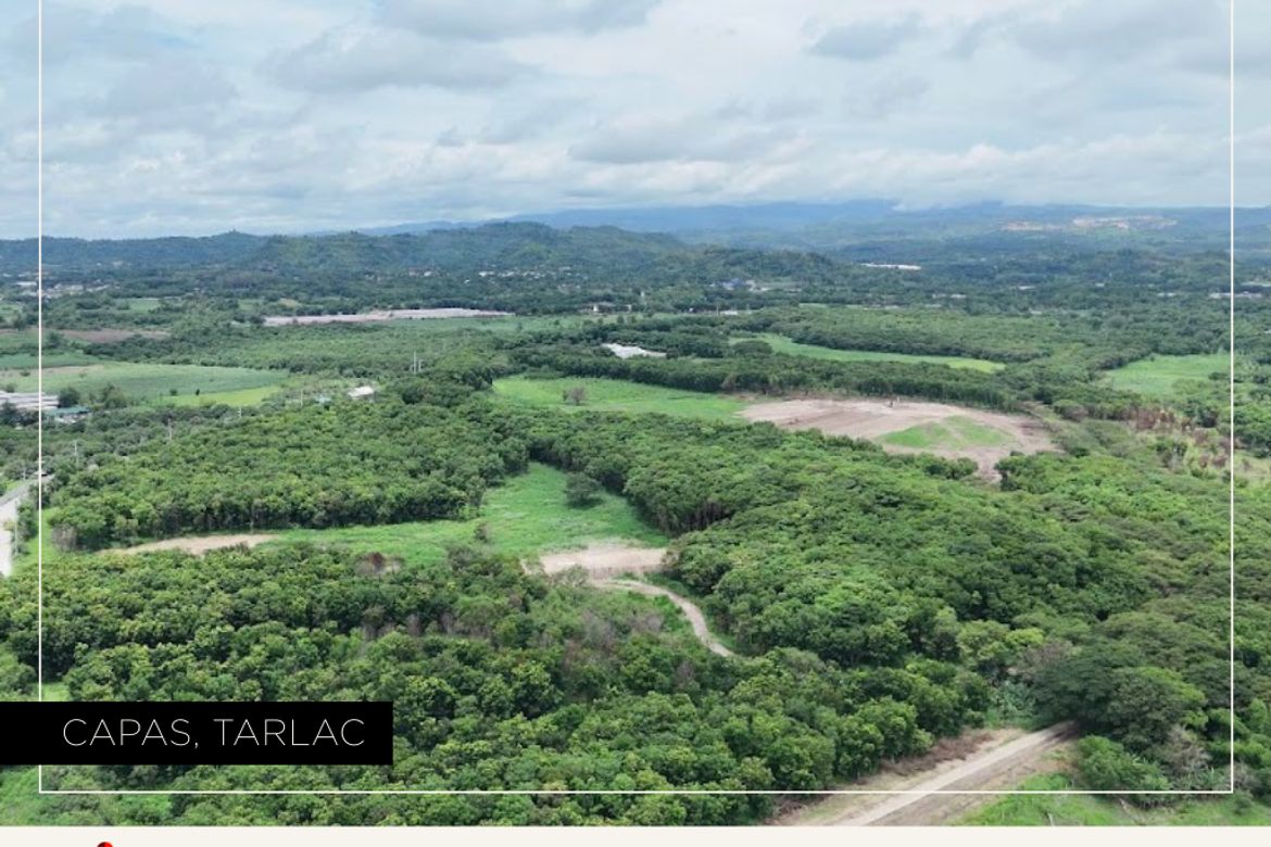 Land for Sale in Cutcut 1st, Capas, Tarlac – photo 2