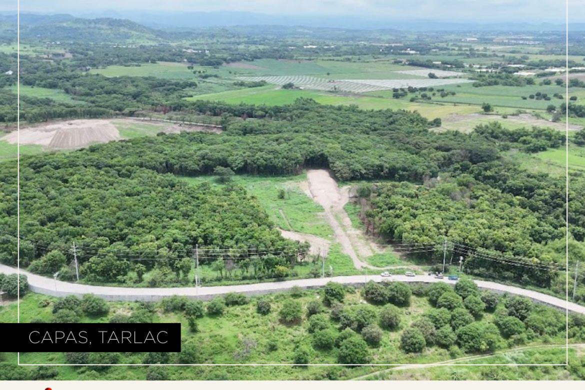 Land for Sale in Cutcut 1st, Capas, Tarlac – photo 3