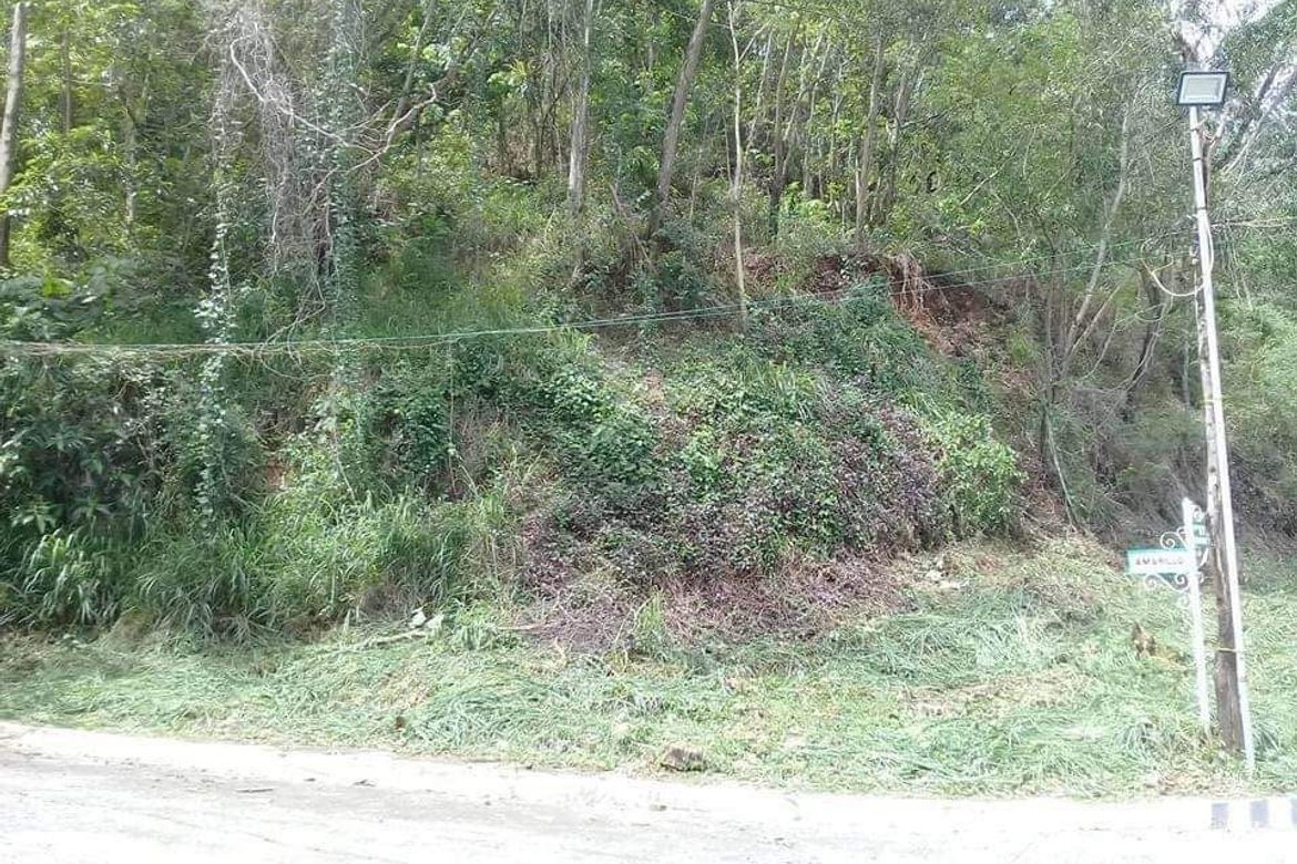 Land for Sale in Cuyambay, Tanay, Rizal – photo 2
