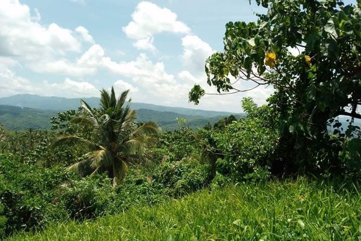 Land for Sale in Cuyambay, Tanay, Rizal – photo 2