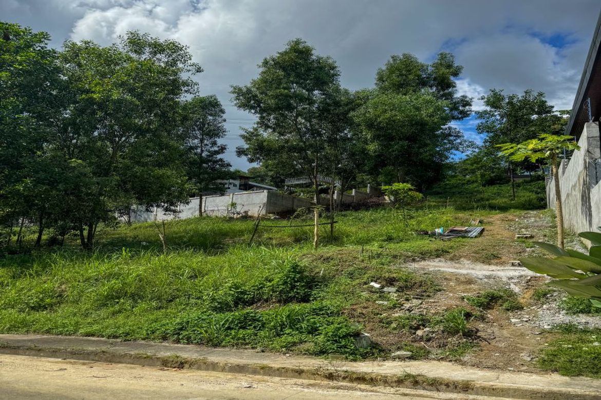 Land for Sale in Cuyambay, Tanay, Rizal – photo 2