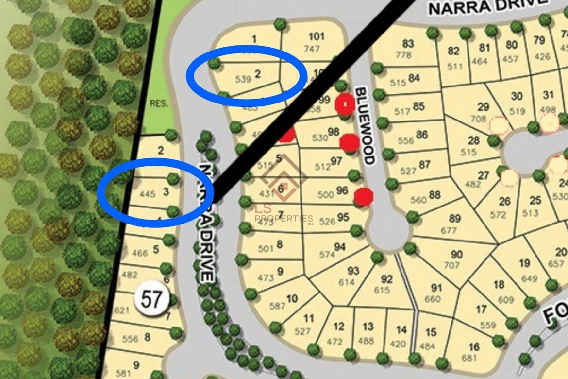 Land for Sale in Cuyambay, Tanay, Rizal – photo 2