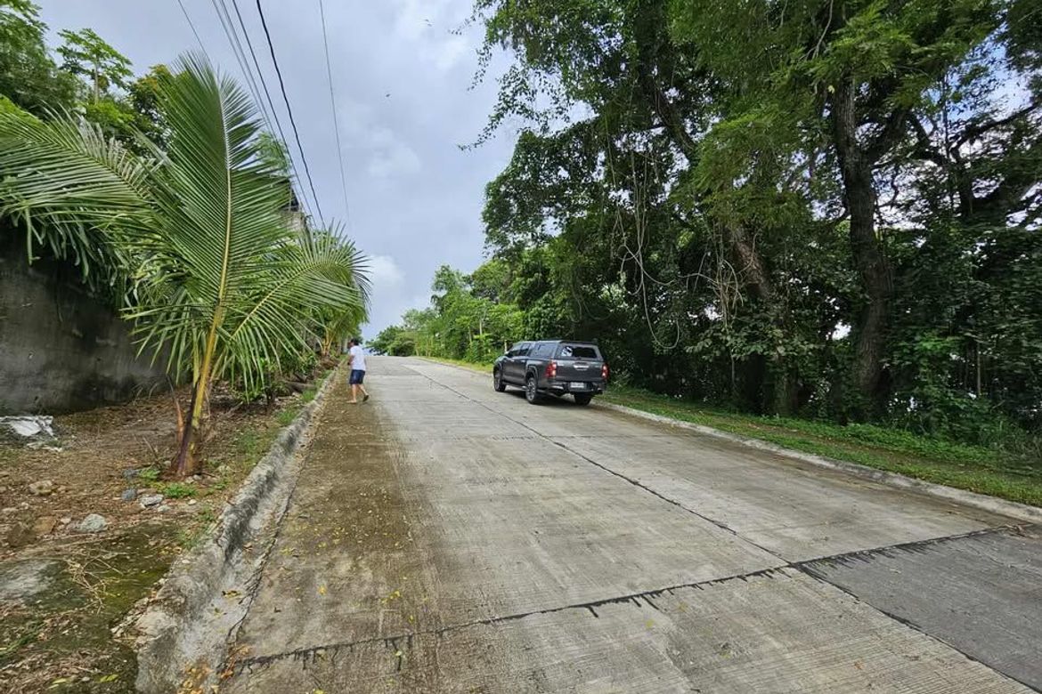 Land for Sale in Cuyambay, Tanay, Rizal – photo 7