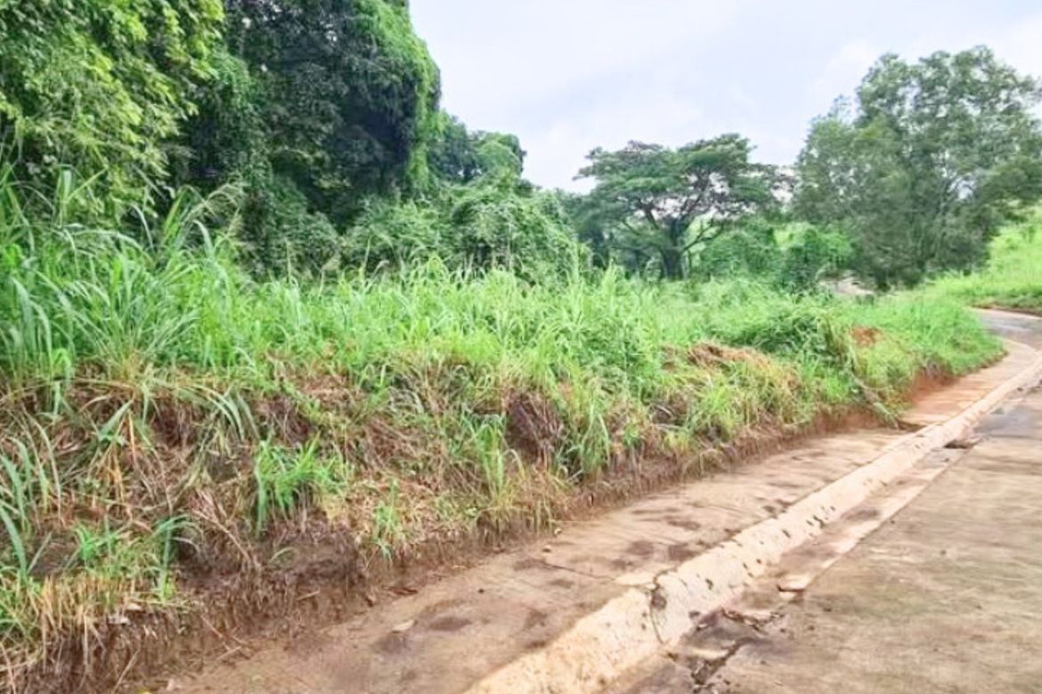 Land for Sale in Cuyambay, Tanay, Rizal – photo 2