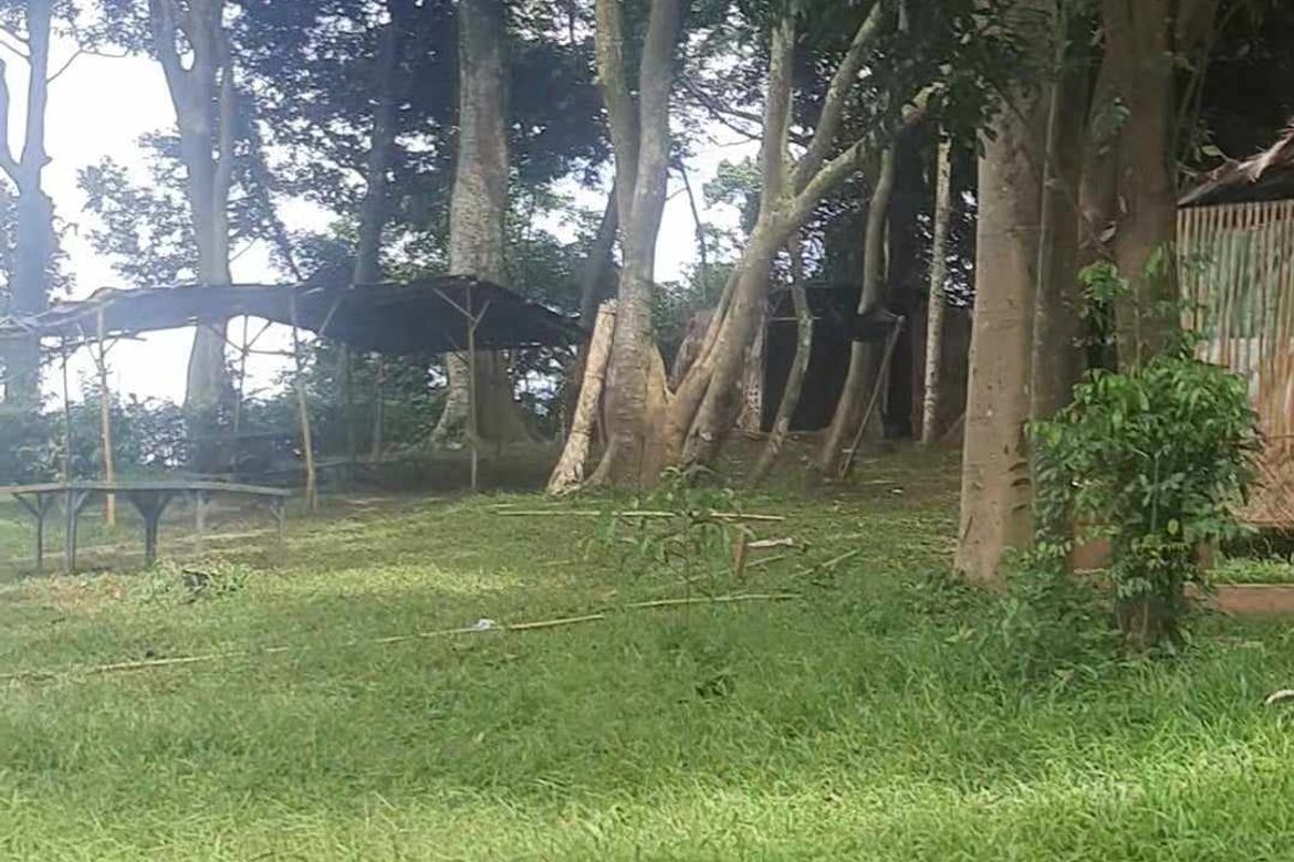 Land for Sale in Cuyambay, Tanay, Rizal – photo 2