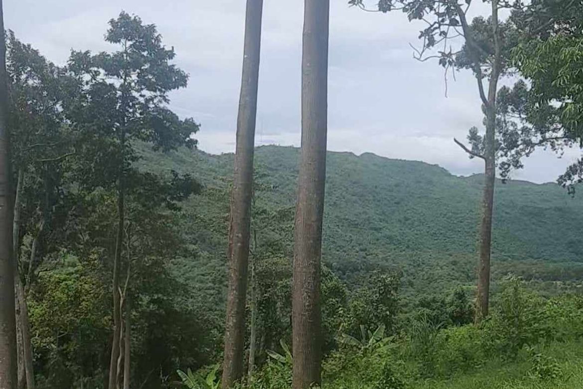 Land for Sale in Cuyambay, Tanay, Rizal – photo 3