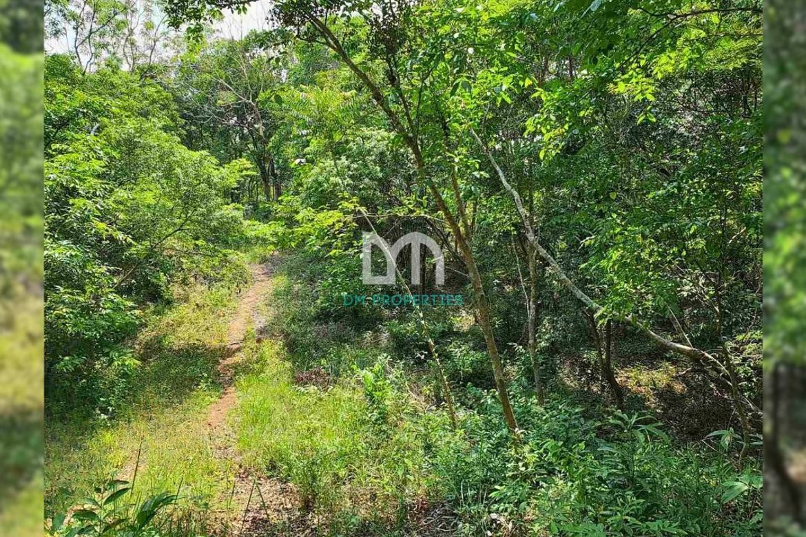 Land for Sale in Cuyambay, Tanay, Rizal