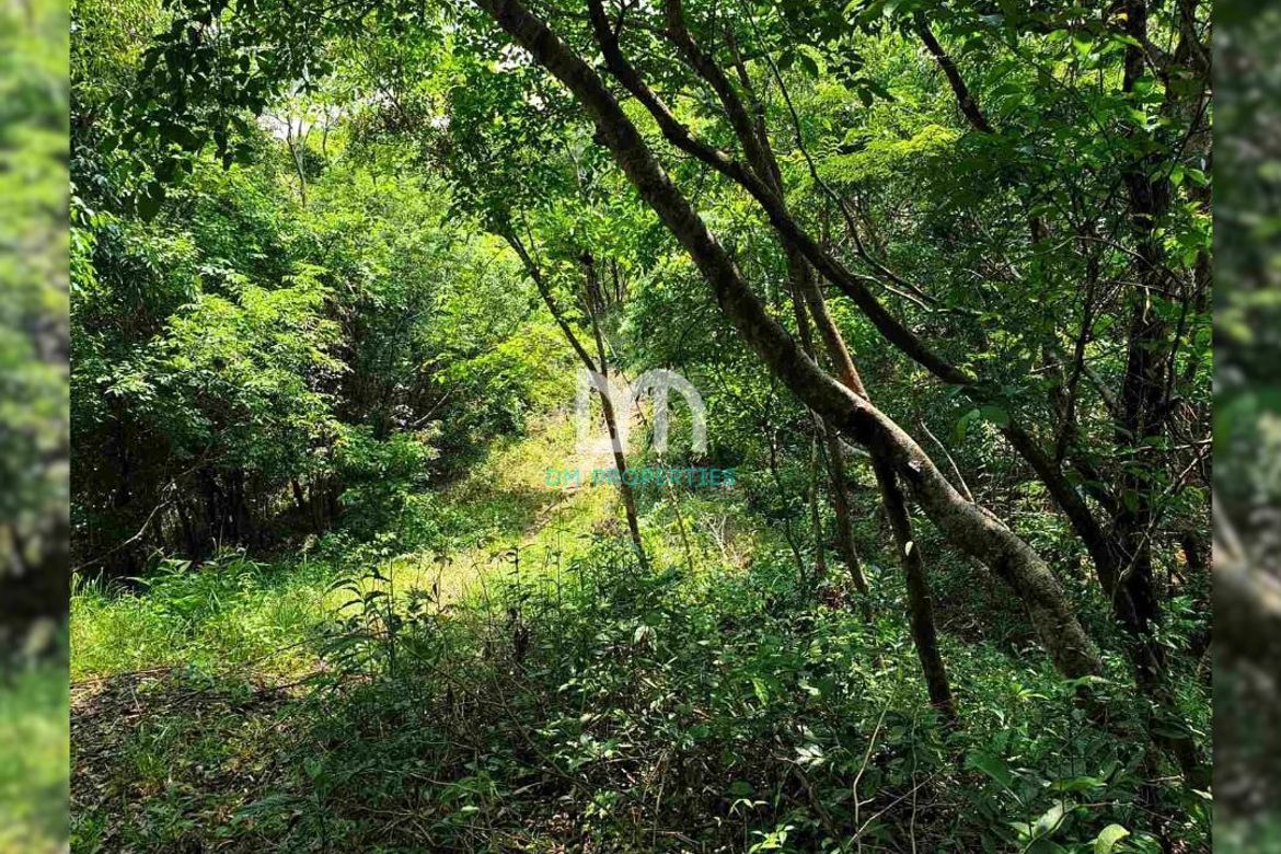 Land for Sale in Cuyambay, Tanay, Rizal – photo 2