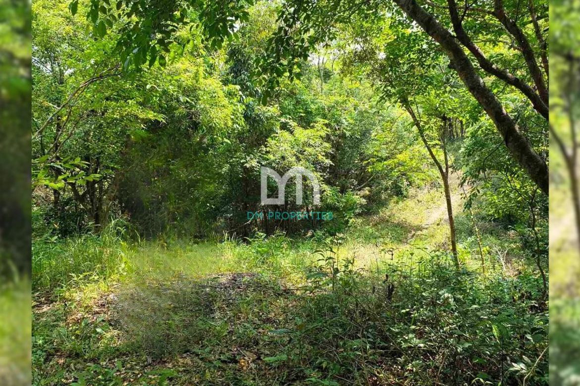 Land for Sale in Cuyambay, Tanay, Rizal – photo 3