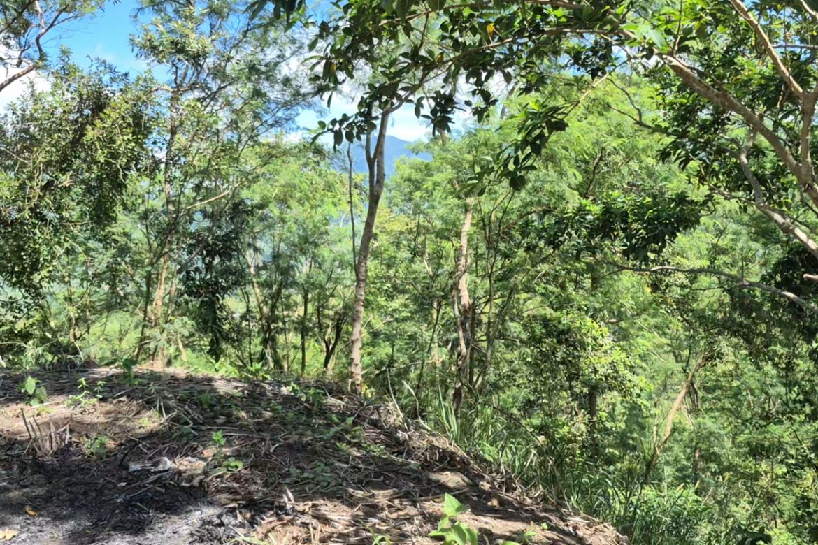 Land for Sale in Cuyambay, Tanay, Rizal – photo 3