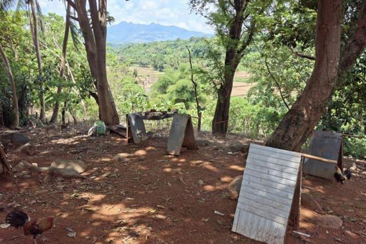 Land for Sale in Daang Pare, Orion, Bataan – photo 3
