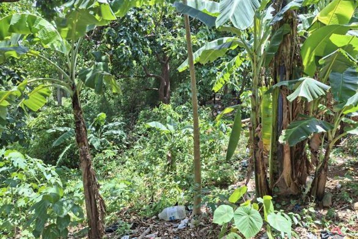 Land for Sale in Daang Pare, Orion, Bataan – photo 6