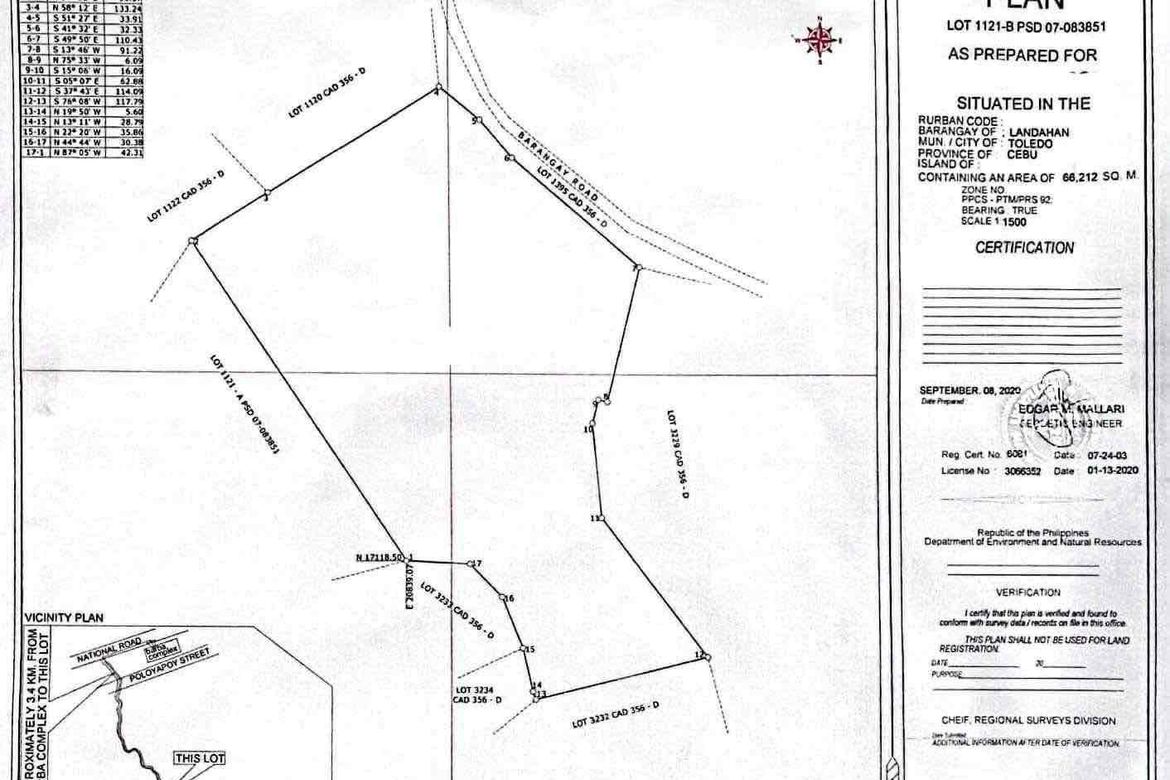 Land for Sale in Daanglungsod, Toledo, Cebu – photo 2