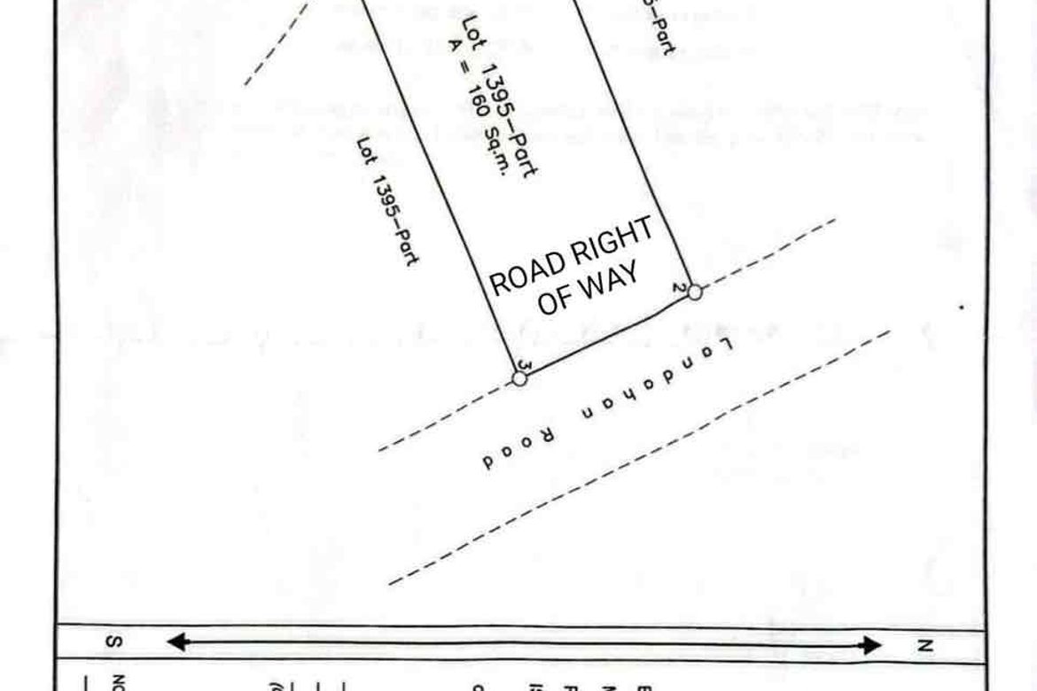Land for Sale in Daanglungsod, Toledo, Cebu – photo 4