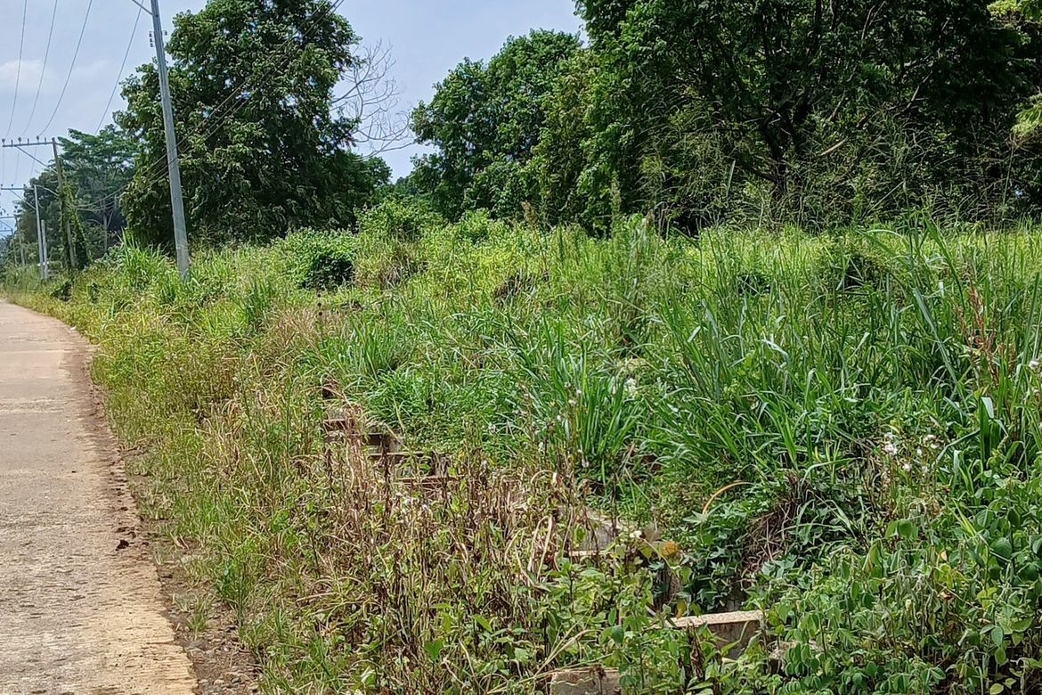 Land for Sale in Dacudao, Davao City, Davao del Sur