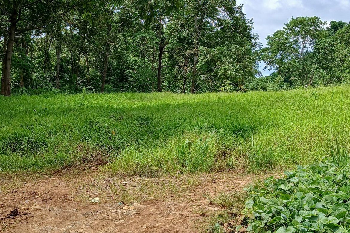 Land for Sale in Dacudao, Davao City, Davao del Sur – photo 2