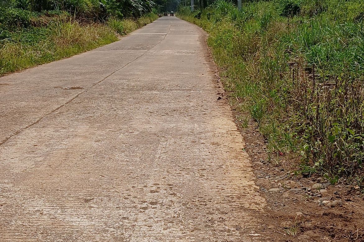 Land for Sale in Dacudao, Davao City, Davao del Sur – photo 4
