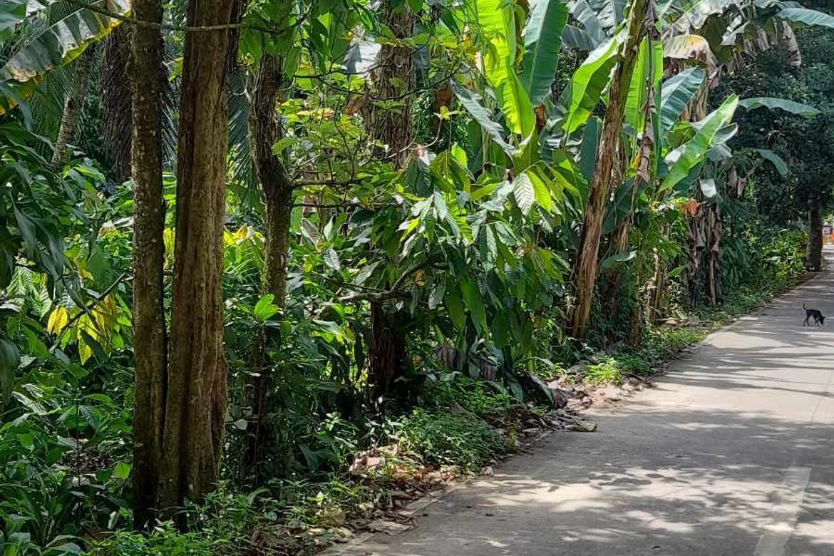 Land for Sale in Dacudao, Davao City, Davao del Sur – photo 2