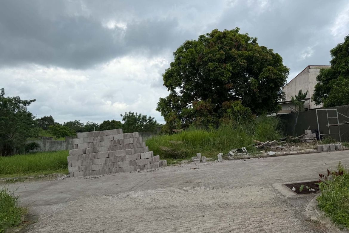 Land for Sale in Dagatan, Amadeo, Cavite – photo 5