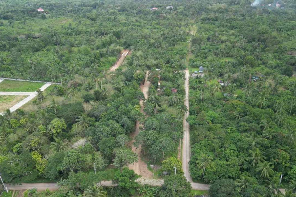 Land for Sale in Dagatan, Amadeo, Cavite – photo 2