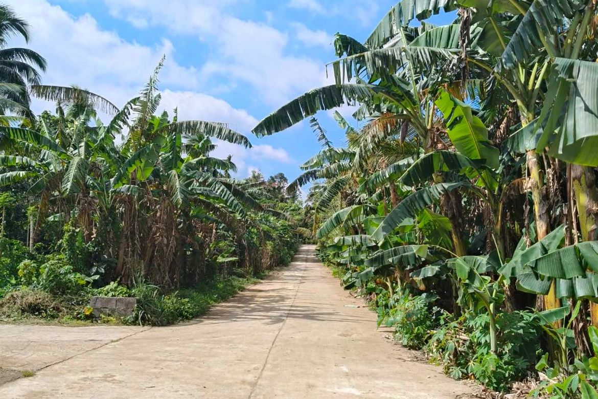 Land for Sale in Dagatan, Amadeo, Cavite – photo 3