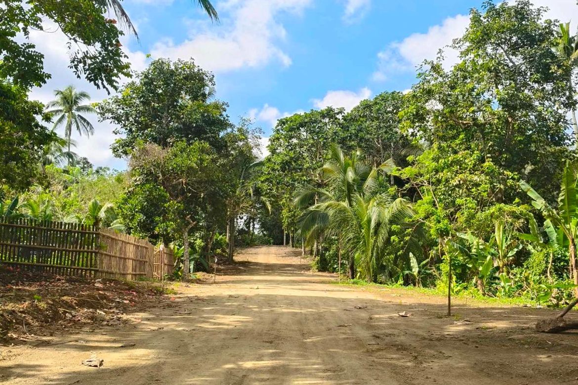 Land for Sale in Dagatan, Amadeo, Cavite – photo 4