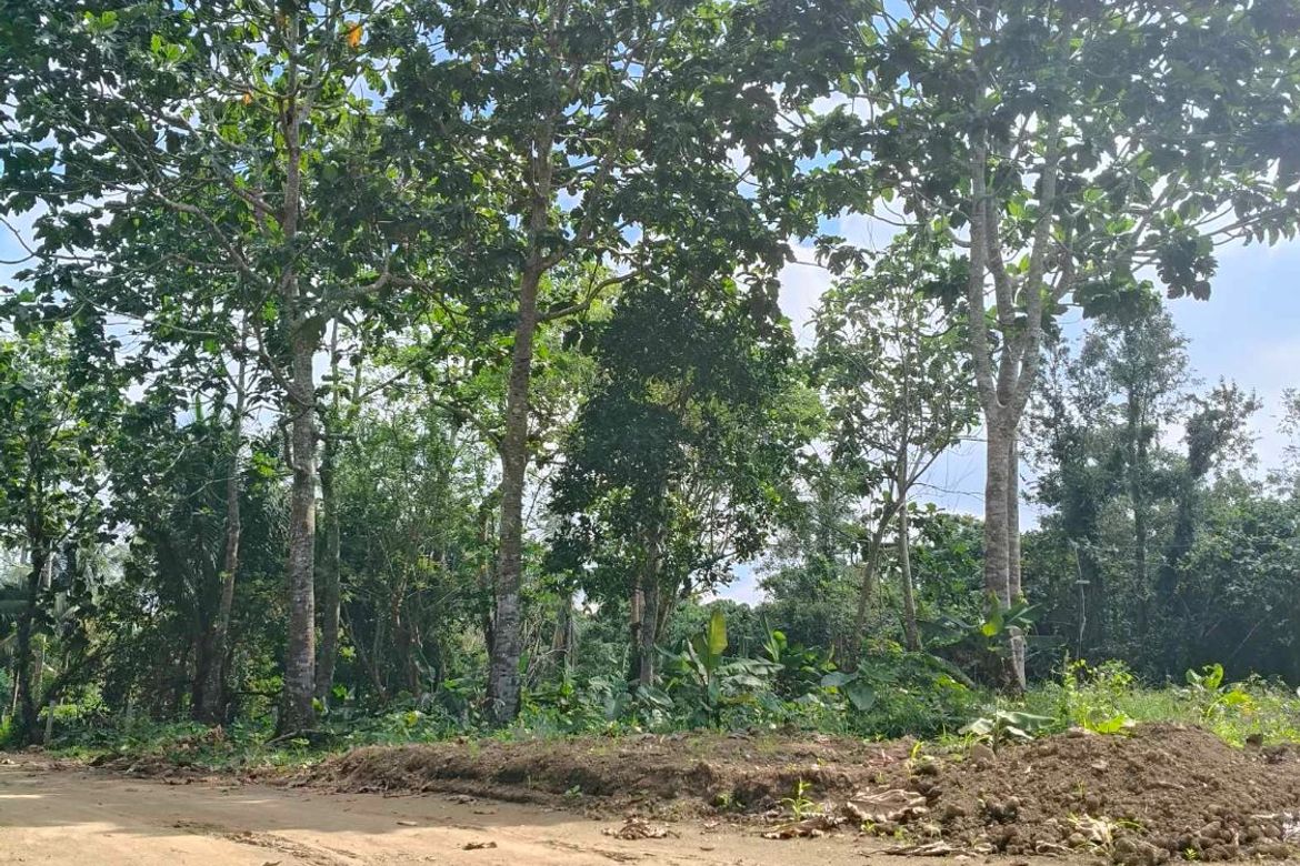 Land for Sale in Dagatan, Amadeo, Cavite – photo 5