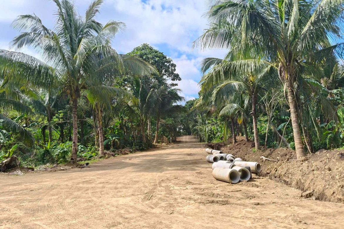 Land for Sale in Dagatan, Amadeo, Cavite – photo 6
